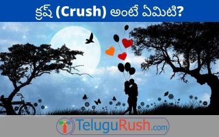 Crush meaning in Telugu – క్రష్ మీనింగ్ ఇన్ తెలుగు