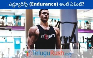 Endurance meaning in Telugu - ఎన్డ్యూరెన్స్ అర్థం తెలుగులో | తెలుగు రష్
