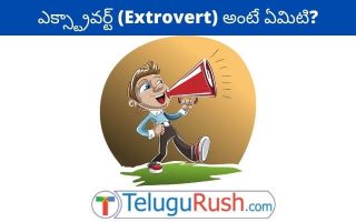 Extrovert meaning in Telugu – ఎక్సట్రావర్ట్ అర్ధం తెలుగులో