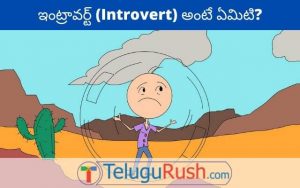 Introvert meaning in Telugu - ఇంట్రావర్ట్ అర్ధం తెలుగులో | తెలుగు రష్