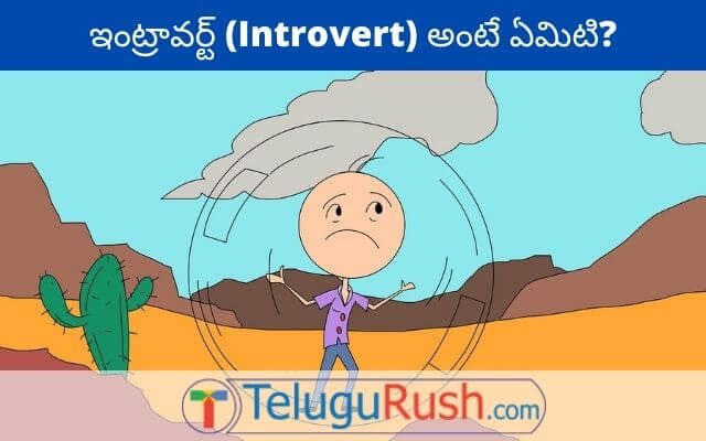 introvert meaning in telugu
