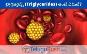 Triglycerides meaning in Telugu – ట్రైగ్లిజరైడ్స్ అర్ధం తెలుగులో
