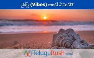 Vibes meaning in Telugu - వైబ్స్ అర్ధం తెలుగులో | తెలుగు రష్