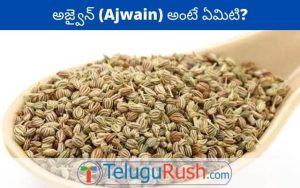 ajwain meaning in telugu