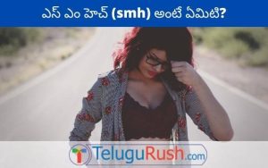 smh meaning in telugu