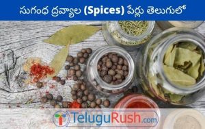 spices names in english and telugu