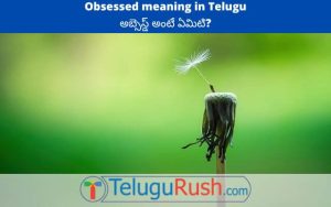 Obsessed meaning in Telugu – అబ్సెస్డ్ అర్ధం తెలుగులో | తెలుగు రష్