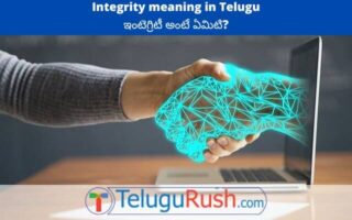 Integrity meaning in Telugu – ఇంటెగ్రిటీ అర్ధం తెలుగులో