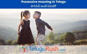 Possessive meaning in Telugu - పొసెసివ్ అర్ధం తెలుగులో | తెలుగు రష్