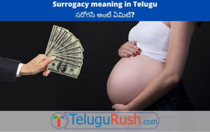 surrogacy meaning in telugu
