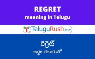 Regret meaning in Telugu – రిగ్రెట్ అర్ధం తెలుగులో