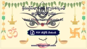 Devi Bhagavatam Skanda 12 Chapter 8 – శ్రీమద్దేవీభాగవతే ద్వాదశస్కంధే అష్టమోఽధ్యాయః