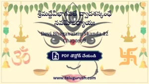 Devi Bhagavatam Skanda 12 Chapter 9 – శ్రీమద్దేవీభాగవతే ద్వాదశస్కంధే నవమోఽధ్యాయః