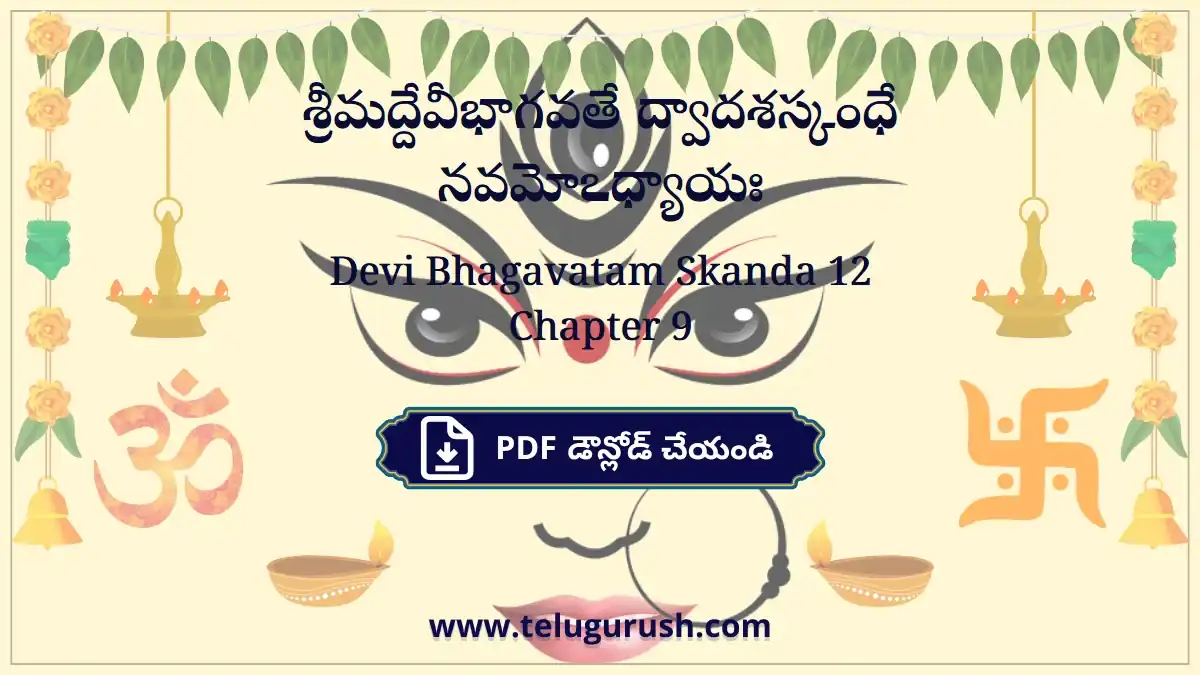 Devi Bhagavatam Skanda 12 Chapter 9 – శ్రీమద్దేవీభాగవతే ద్వాదశస్కంధే నవమోఽధ్యాయః