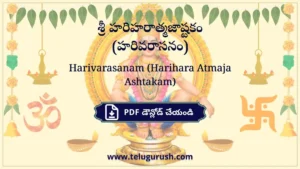 Harivarasanam (Harihara Atmaja Ashtakam) – శ్రీ హరిహరాత్మజాష్టకం (హరివరాసనం)