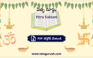Pitru Suktam pdf download – పితృ సూక్తం