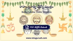 Rahu Graha Vedic Mantra – రాహు గ్రహస్య వేదోక్త మంత్రం