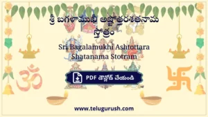 Sri Bagalamukhi Ashtottara Shatanama Stotram – శ్రీ బగళాముఖీ అష్టోత్తరశతనామ స్తోత్రం