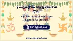 Sri Chinnamasta Ashtottara Shatanama Stotram – శ్రీ ఛిన్నమస్తాదేవి అష్టోత్తరశతనామ స్తోత్రం