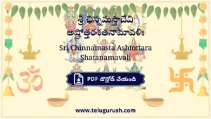 Sri Chinnamasta Ashtottara Shatanamavali – శ్రీ ఛిన్నమస్తాదేవి అష్టోత్తరశతనామావళిః