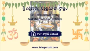 Sri Dakshinamurthy Nakshatramala Stotram – శ్రీ దక్షిణాస్య నక్షత్రమాలా స్తోత్రం