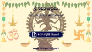Sri Nataraja Ashtakam – శ్రీ నటరాజాష్టకం