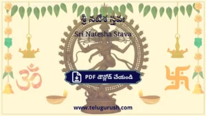 Sri Natesha Stava – శ్రీ నటేశ స్తవః