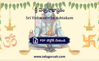 Sri Vishwanatha Ashtakam pdf Download – శ్రీ విశ్వనాథాష్టకం