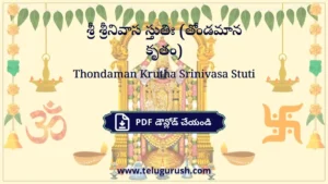 Thondaman Krutha Srinivasa Stuti – శ్రీ శ్రీనివాస స్తుతిః (తోండమాన కృతం)